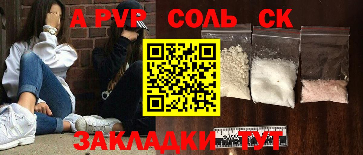 Alfa_PVP СК КРИС Геленджик