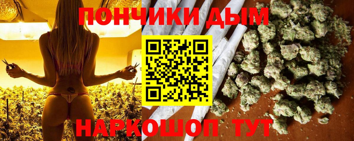 Каннабис планчик Геленджик